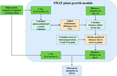 Modifying the SWAT Model to Simulate Eco-Hydrological Processes in an Arid Grassland Dominated Watershed